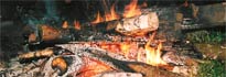 Lagerfeuerromantik im Naturcamp